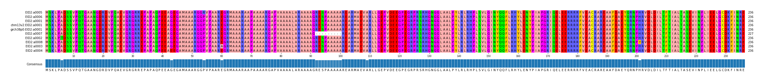 Multiple Alignments (by translate haplotype similarity)