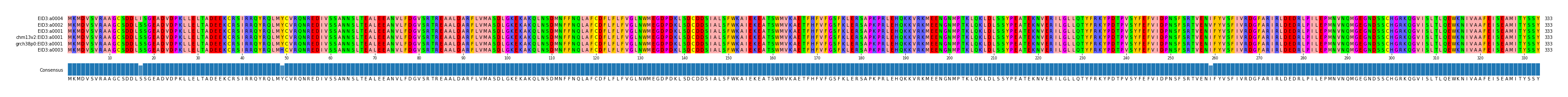 Multiple Alignments (by translate haplotype similarity)