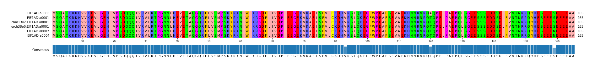 Multiple Alignments (by translate haplotype similarity)