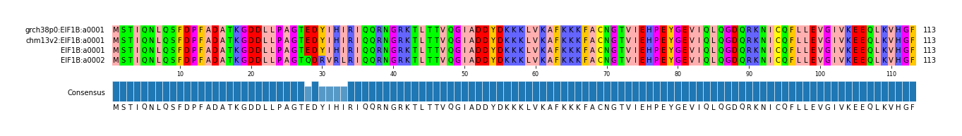 Multiple Alignments (by translate haplotype similarity)