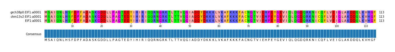 Multiple Alignments (by translate haplotype similarity)