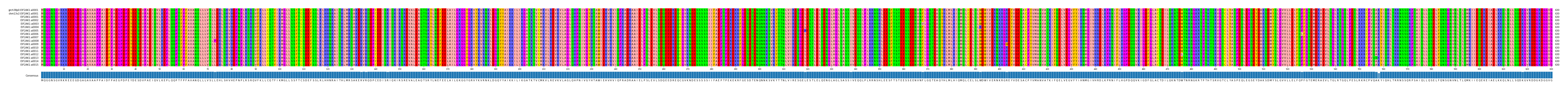 Multiple Alignments (by translate haplotype frequency)