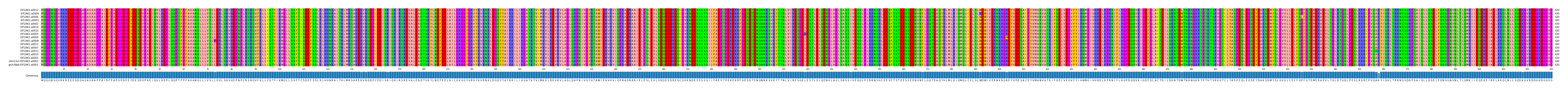 Multiple Alignments (by translate haplotype similarity)