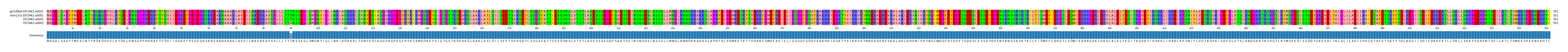 Multiple Alignments (by translate haplotype similarity)