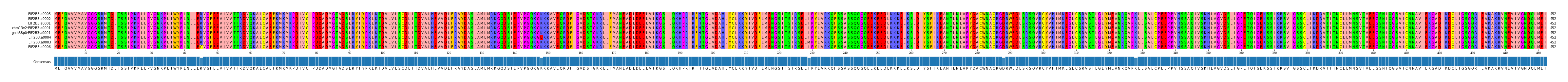 Multiple Alignments (by translate haplotype similarity)