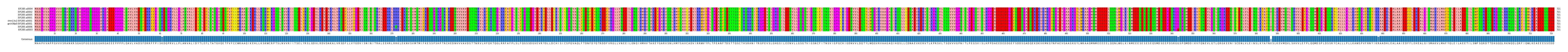 Multiple Alignments (by translate haplotype similarity)