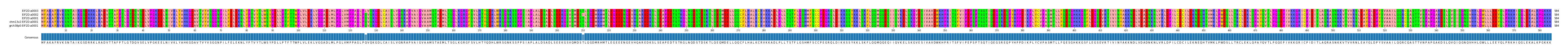 Multiple Alignments (by translate haplotype similarity)