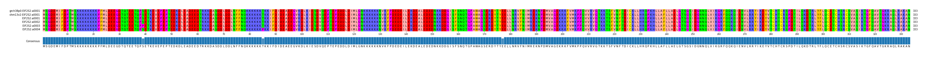 Multiple Alignments (by translate haplotype frequency)