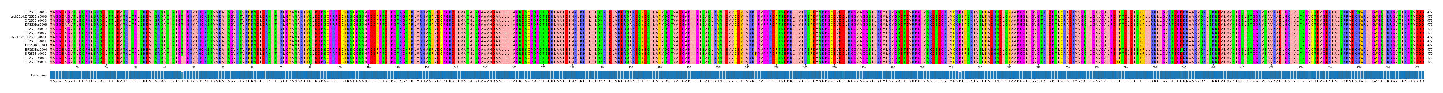 Multiple Alignments (by translate haplotype similarity)