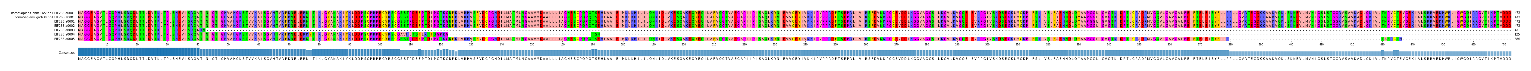 Multiple Alignments (by translate haplotype frequency)