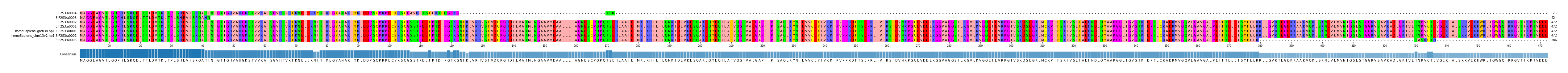 Multiple Alignments (by translate haplotype similarity)