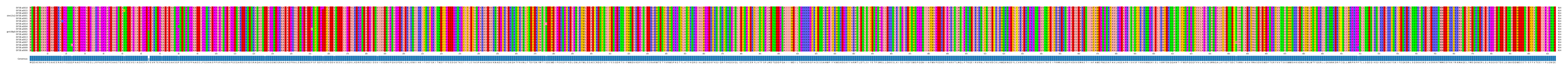 Multiple Alignments (by translate haplotype similarity)
