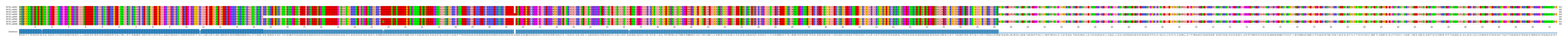 Multiple Alignments (by translate haplotype frequency)