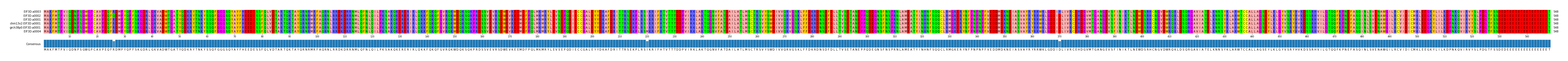 Multiple Alignments (by translate haplotype similarity)