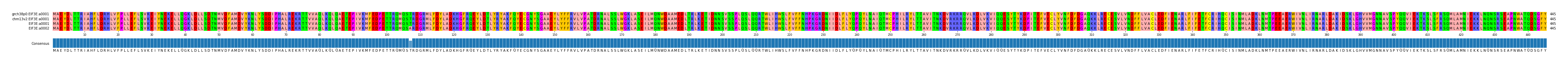 Multiple Alignments (by translate haplotype similarity)