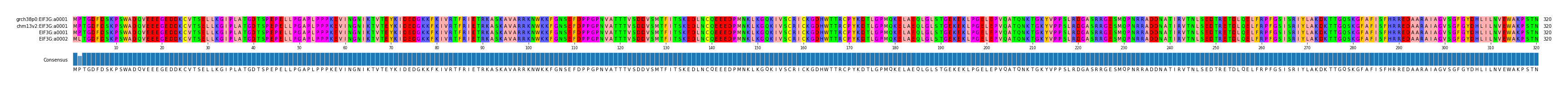 Multiple Alignments (by translate haplotype similarity)