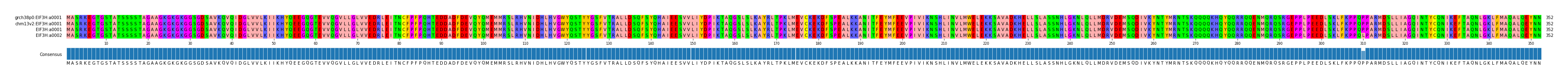 Multiple Alignments (by translate haplotype similarity)