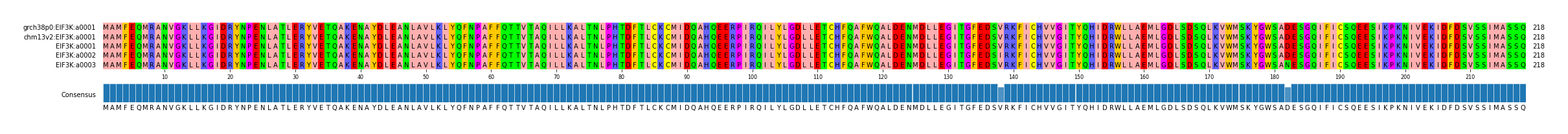 Multiple Alignments (by translate haplotype frequency)