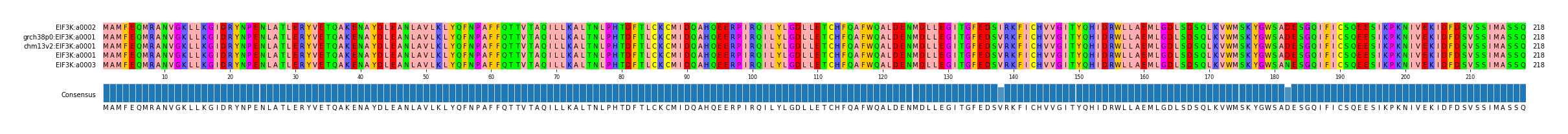 Multiple Alignments (by translate haplotype similarity)