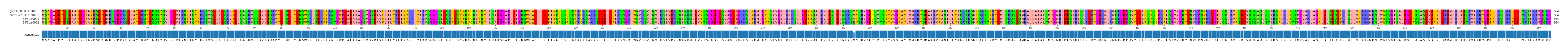 Multiple Alignments (by translate haplotype similarity)
