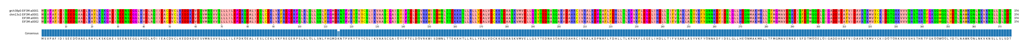 Multiple Alignments (by translate haplotype frequency)