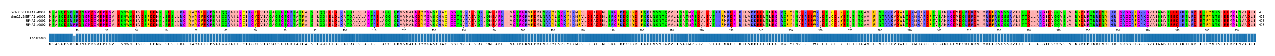 Multiple Alignments (by translate haplotype similarity)
