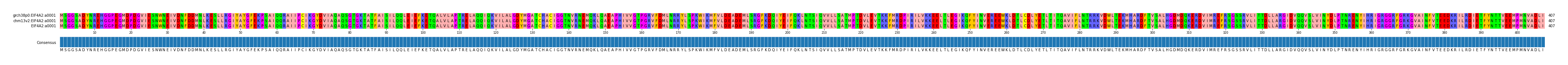 Multiple Alignments (by translate haplotype frequency)