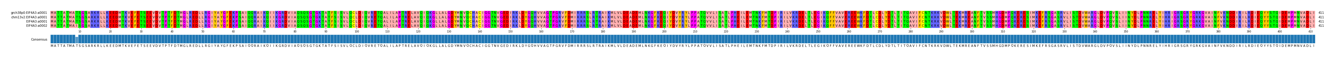 Multiple Alignments (by translate haplotype similarity)