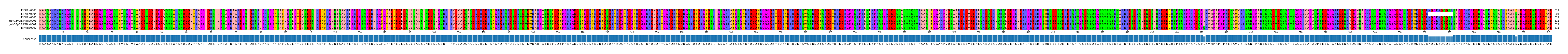 Multiple Alignments (by translate haplotype similarity)
