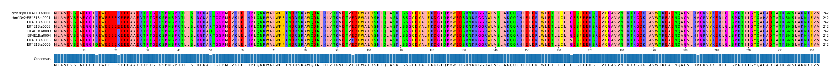 Multiple Alignments (by translate haplotype frequency)