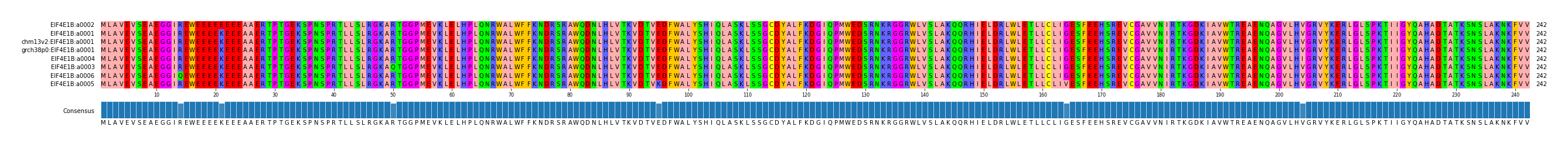 Multiple Alignments (by translate haplotype similarity)
