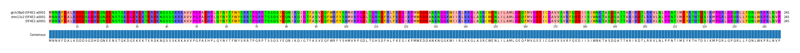 Multiple Alignments (by translate haplotype similarity)