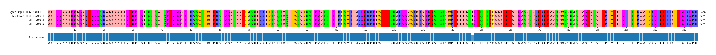 Multiple Alignments (by translate haplotype similarity)