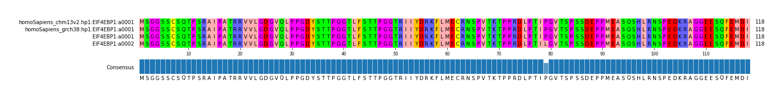 Multiple Alignments (by translate haplotype similarity)