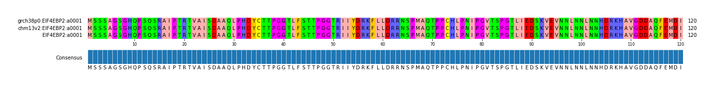 Multiple Alignments (by translate haplotype similarity)