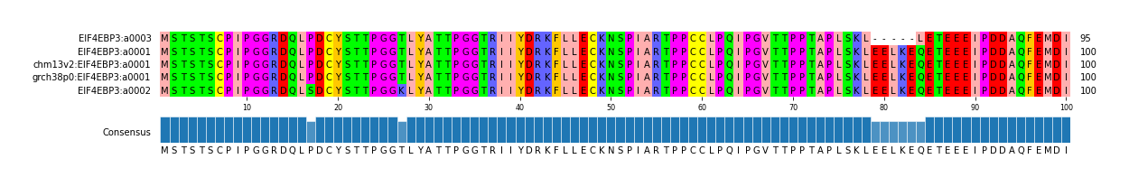 Multiple Alignments (by translate haplotype similarity)
