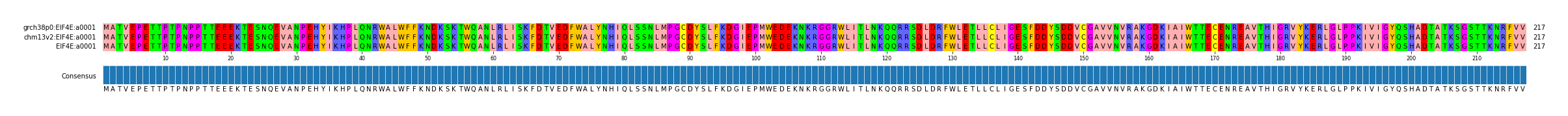 Multiple Alignments (by translate haplotype similarity)