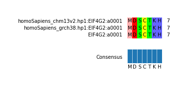 Multiple Alignments (by translate haplotype similarity)