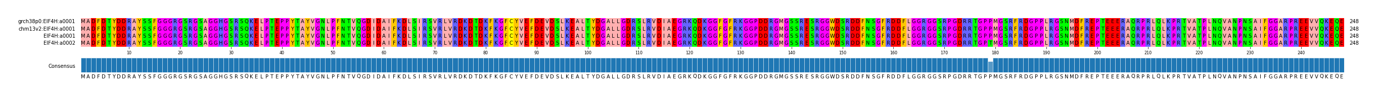 Multiple Alignments (by translate haplotype similarity)