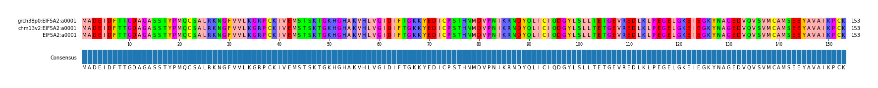 Multiple Alignments (by translate haplotype similarity)