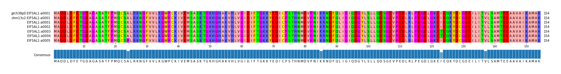 Multiple Alignments (by translate haplotype frequency)