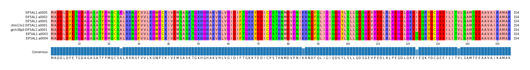 Multiple Alignments (by translate haplotype similarity)