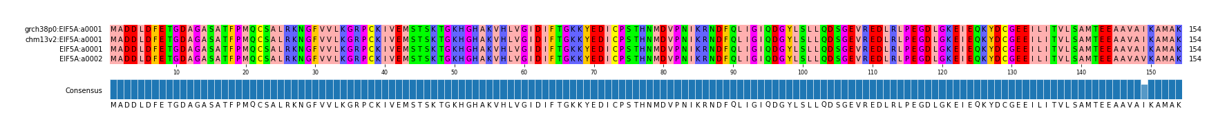 Multiple Alignments (by translate haplotype similarity)