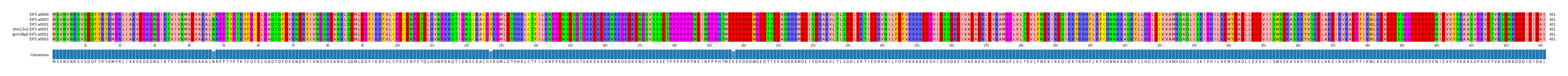 Multiple Alignments (by translate haplotype similarity)