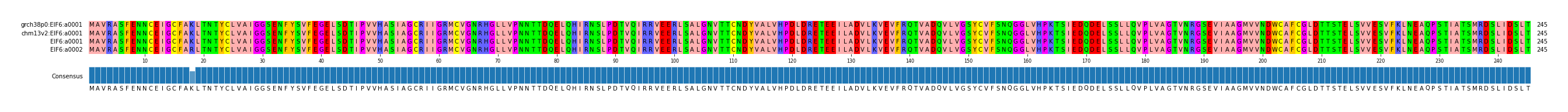 Multiple Alignments (by translate haplotype similarity)