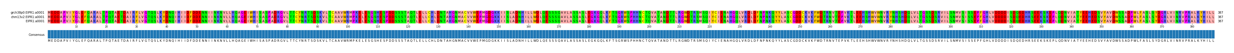 Multiple Alignments (by translate haplotype similarity)