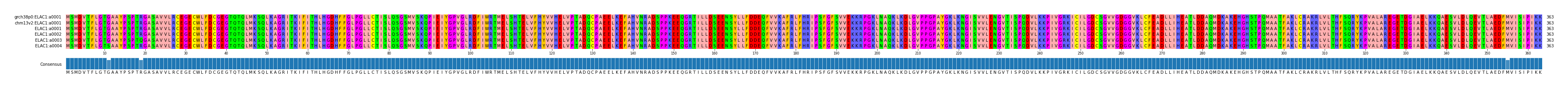 Multiple Alignments (by translate haplotype frequency)