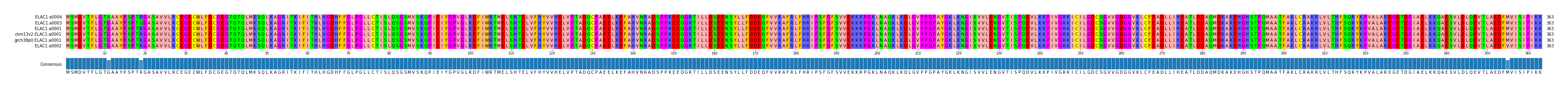 Multiple Alignments (by translate haplotype similarity)