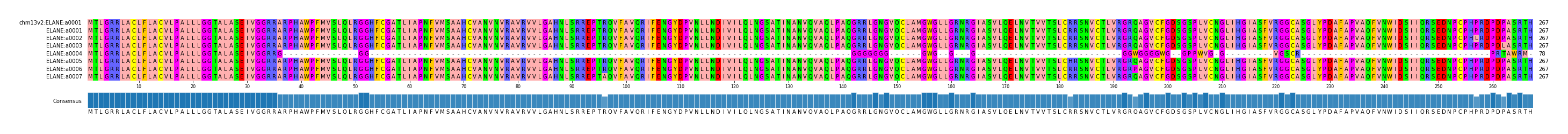 Multiple Alignments (by translate haplotype frequency)