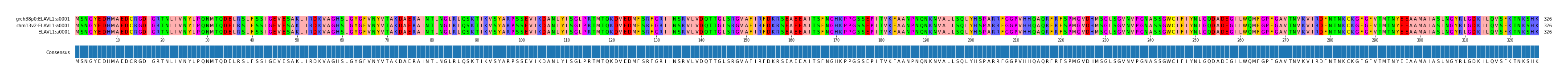 Multiple Alignments (by translate haplotype similarity)